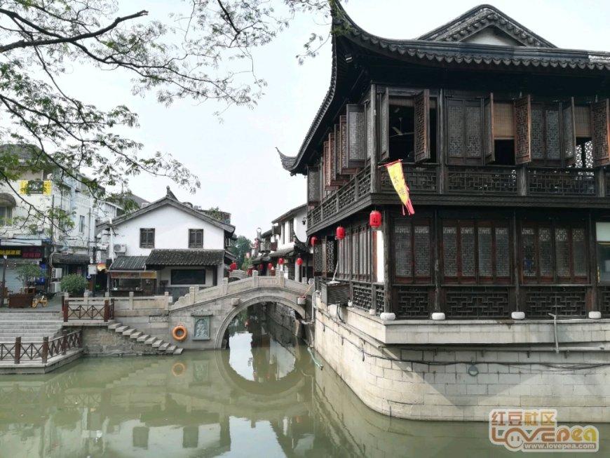 护士资格证报考着装要求游戏画面